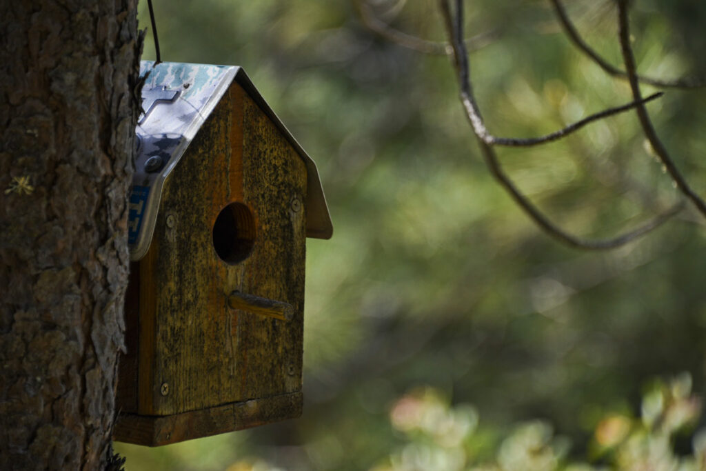 camping proche natuur quercy